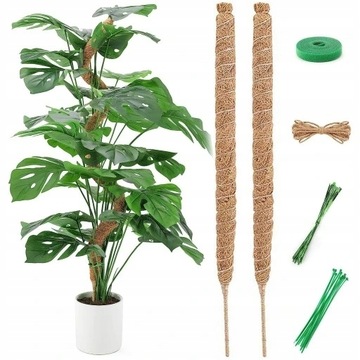 Podpórki do roślin drewno 64 cm 2 szt.