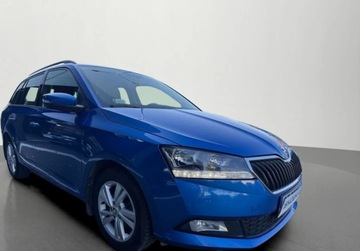 Skoda Fabia IV 2022 Skoda Fabia Salon PL - 1 wlasciciel - Climatronic - podgrz. fotele - DSG -, zdjęcie 14