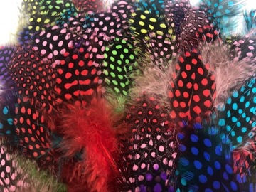 KOTYLIONY NR4 RÓŻOWE FUKSJA KOTYLION STUDNIÓWKOWY