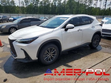 Lexus NX II 2024
