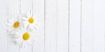 МАГНИТНЫЙ КОВРИК ДЛЯ РАДИАТОРА 120х60 ЦВЕТЫ ФОТО ОБОИ