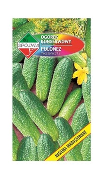 Ogórek gruntowy Polonez F1 5 g Spójnia