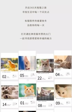 Кошачий календарь 2024, новый настольный календарь, ветер, Новый год, обратный отсчет на 365 дней