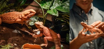 Anycubic Photon Mono M5S 12K DIY 3D-принтер