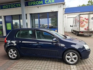 Volkswagen Golf V Hatchback 1.4 i 16V 75KM 2005 Volkswagen Golf Piekny klimatyzacja bez rdzy 1.4 Benzyna 75KM, zdjęcie 2