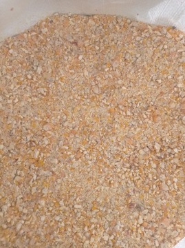 Kukurydza śrutowana 25 kg dla kur kaczek mielona