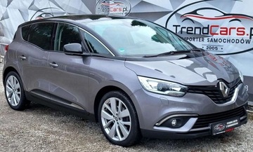 Renault Scenic IV 2019 Renault Scenic Navi Kamera bezwypadkowy Serwisowany Gwarancja oplacony 1.8, zdjęcie 13