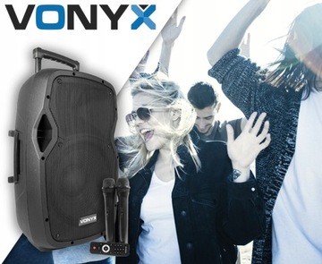 Мобильная звуковая система 12 дюймов, 600 Вт, 2 микрофона УВЧ, USB BT