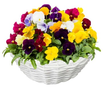 КОРЗИНА ДЛЯ ПОСАДКИ ЦВЕТОВ ТЕРРАСА, БАЛКОН, САД