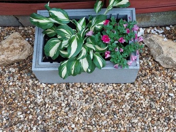 Камень, галька, медовый гравий, 8-16мм, 20кг.