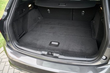 Ford Focus IV 2022 FOCU ST-LINE __ FULL LEDY __MEGA WYPOSAŻENIE, zdjęcie 16