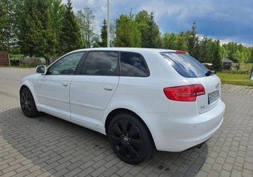 Audi A3 8P Hatchback 3d 1.6 TDI 90KM 2010 Audi A3 5 Drzwi KLIMA 1.6 Diesel 105KM, zdjęcie 17