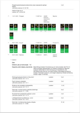BMW Mini - VIN - Реконструкция по ремонту истории обслуживания ASO PDF 7/7
