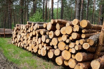 НЕИНВАЗИВНЫЙ ИНДУКТИВНЫЙ ИЗМЕРИТЕЛЬ ВЛАЖНОСТИ ДРЕВЕСИНЫ