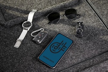 Видеорегистратор Garmin Dash Cam Mini 2