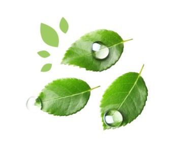 Салфетки 99% смоченные водой 6х56 шт. БИОРАЗЛАГАЕМЫЕ Kinder By Nature.