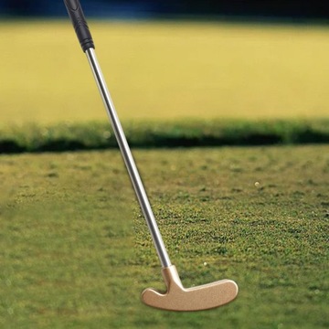 Zabawka do minigolfa o średnicy 15,8 cm, solidna dla małych dzieci. Tylko złoty miotacz