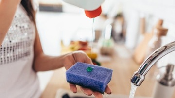 ГУБКИ ДЛЯ МЫТЬЯ ПОСУДОМОЕЧНОЙ МАШИНЫ 10 ШТ.