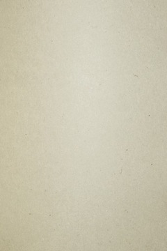 Papier ekologiczny Flora 240g Crusca szary 10A4