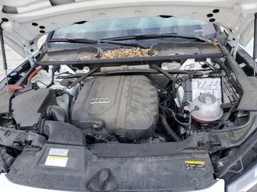 Audi Q5 II 2023 Audi Q5 Premium Plus 45 2023 2.0l 2.0 Benzyna 261KM, zdjęcie 6