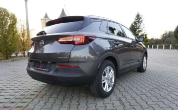 Opel 2017 Opel Grandland X Bezwypadkowy Serwisowany 1-Wlasciciel Grz.Fotele Kierowni, zdjęcie 14