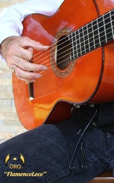 Де Оро гитарист FLAMENCOLOCO