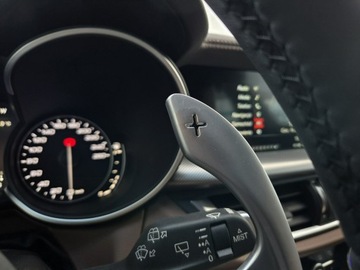 Alfa Romeo Stelvio SUV 2.0 Turbo 280KM 2018 Alfa Romeo Stelvio Q4 2.0 280 KM, zdjęcie 18