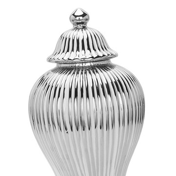 Słoik imbiru Wazon do przechowywania imbiru z bute