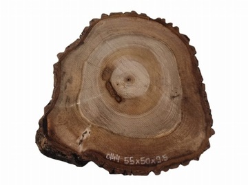 Plaster Orzecha Włoskiego 55x50 Patera Blat Stolik