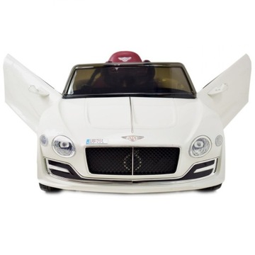 ОРИГИНАЛЬНАЯ ВЕРСИЯ BENTLEY EXP12, МЯГКАЯ