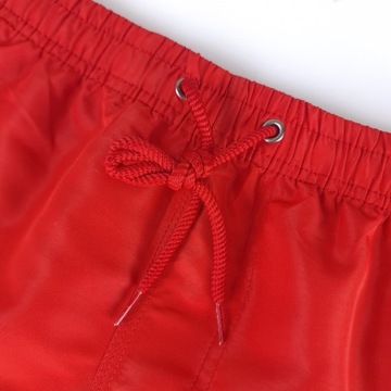 Мужские пляжные шорты SWIM SHORTS QUICK-DRY PREMIUM 3XL