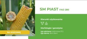 Семена кукурузы СМ Пиаст ФАО 280 на силос