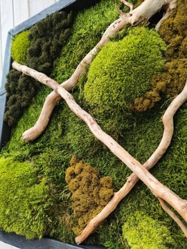 КАРТИНА СО МХОМ 50см ПРЕМИУМ яркая деревянная рамка лес в картине украшение МОХ