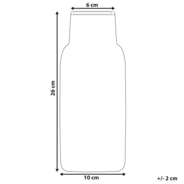 БОЛЬШАЯ СТЕКЛЯННАЯ ВАЗА ДЛЯ ДЕКОРАТИВНЫХ ЦВЕТОВ