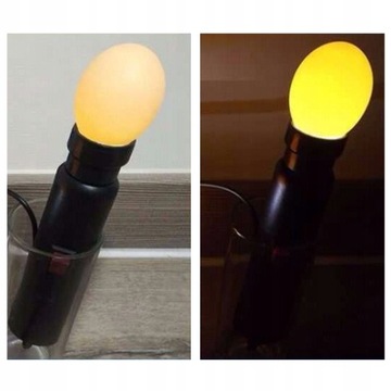 ТЕСТЕР ПТИЧЬИХ ЯИЦ И ЭМБРИОНОВ