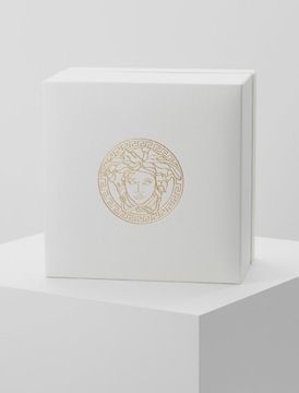 VERSACE VBQ04 Мужские часы