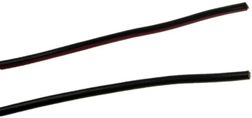 NTY EZP-AU-001