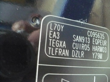 DVEŘE ZADNÍ LEVÉ LEVÝ RENAULT LATITUDE TEGXA