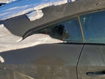 Audi TT 8S 2021 Audi TT Coupe 2021 AUDI TT 2.0 Benzyna 228KM, zdjęcie 9