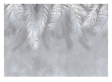Фотообои ПЕРЬЯ 3D ПАЛЬМОВЫЕ ЛИСТЬЯ НА СТЕНУ 312x219