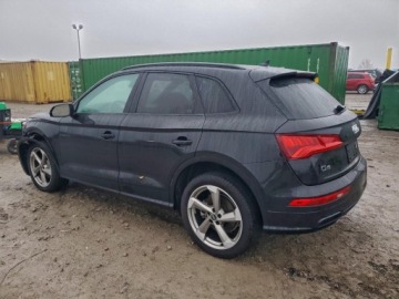 Audi Q5 II 2020 Audi Q5 Titanium Premium Plus 2020 2.0 Benzyna 248KM, zdjęcie 1