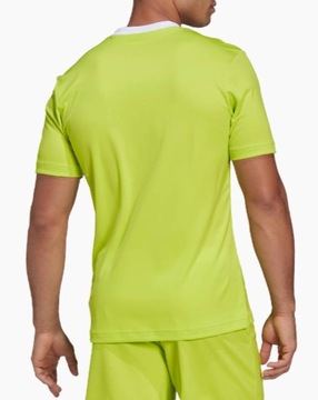 Футболка Adidas с гербом PRINT M W-F