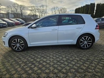 Volkswagen Golf VII Hatchback 3d 1.4 TSI BlueMotion Technology 125KM 2016 Volkswagen Golf 1,4 benzyna 125KM Highline, zdjęcie 16