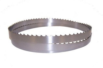 BRZESZCZOT DO PIŁY TAŚMOWEJ 1570 X 16 MM, 5 SZT