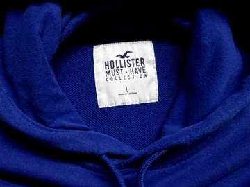 Hollister Icon Logo Must Have Collection Hoodie L/XL