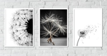 НАБОР 50x40 РАМКА ПОСТЕР ИЗОБРАЖЕНИЕ ОДУВШИНЫ ВОСХИТИТЕЛЬНО