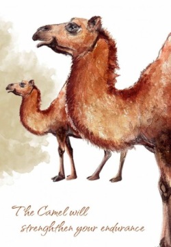 Карты Таро CARTAMUNDI Power Animals