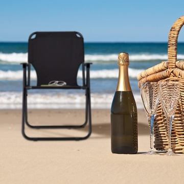 Складной стул для кемпинга и рыбалки до 100 кг RELAXDAYS