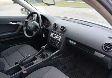 Audi A3 8L Hatchback 1.6 i 102KM 2003 Audi A3 3-drzwiowe Zarejestrowany - ubezpieczony - 1,6 - LPG 1.6 102KM, zdjęcie 13