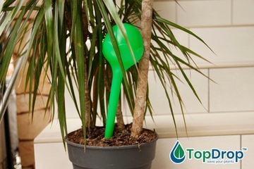 Увлажнитель для цветочных горшков, шарики для полива растений, 8 шт.